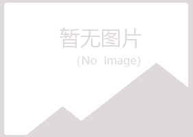 廉江山柳建设有限公司